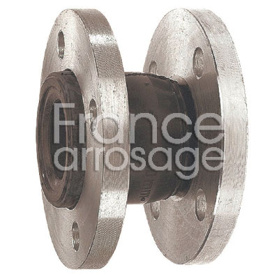 BRIDE DILATATION DN 50