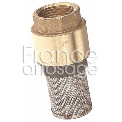 CREPINE INOX +CLAPET 2 1/2 F