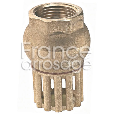 CREPINE LAITON + CLAPET 2 F