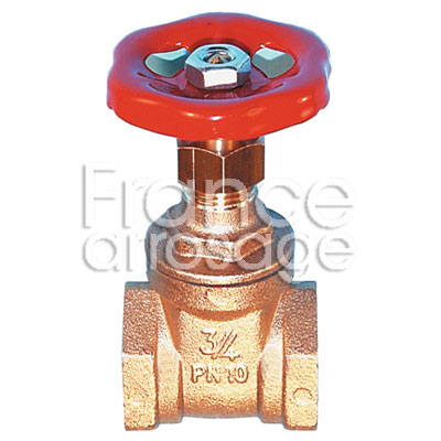 VANNE A OPERCULE 2 1/2 FF