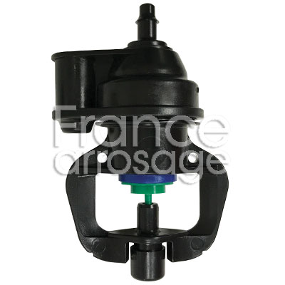 ASP DAN 2002 TETE BAS BLEU