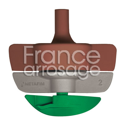 ASP SPINNET TURB LR / MARRON