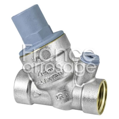 REGUL RINOX PLUS 1" FF