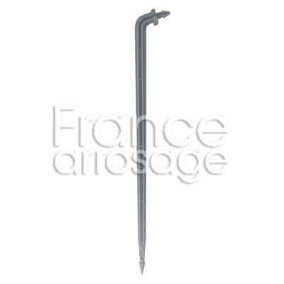 PIC COUDE  NOIR TV (x800)