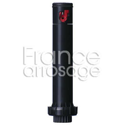 ARR HUNTER PGJ 00 SHRUB