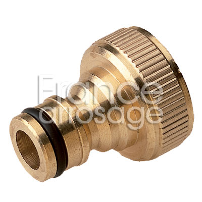 NEZ ROB LAITON  1F GROS DEBIT