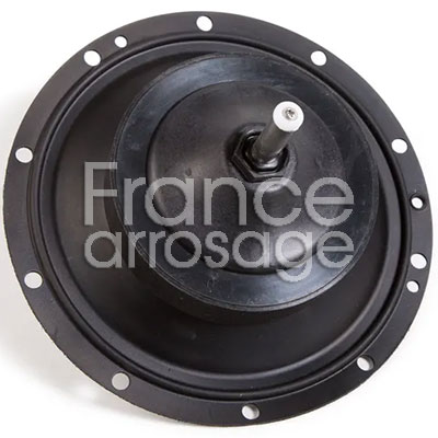 SO BPES300 300 BPES DIAPH ASSY