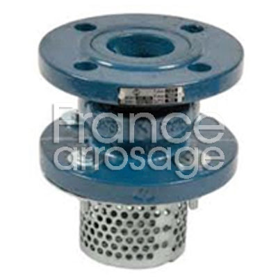 [30CARF6500H] CLAPET FTE + CREPINE DN 65