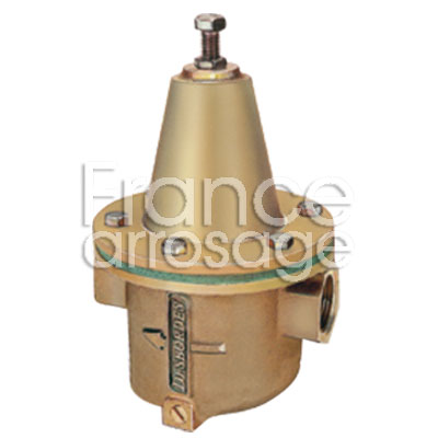 [30DEB10B34H] REGUL  DESB 10 BIS 1 FF