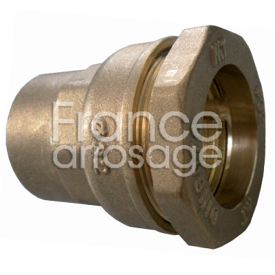 [34FFL20210H] RAC COMP LAITON 20 x 1/2 FF