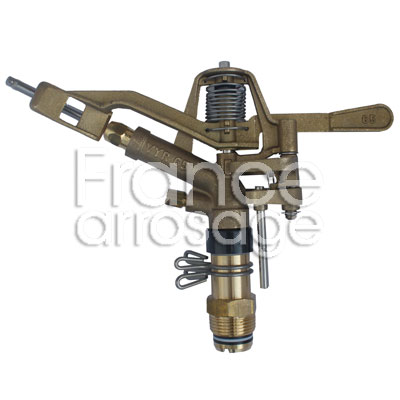 [43VY6511S0B] ASPERSEUR VYR65 1 PC LAITON