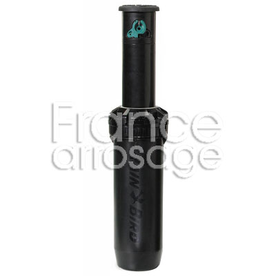 [608RBFALP0M] ARR FALCON 6504 PC