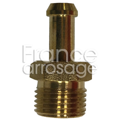 [81PAFI0000] PURGEUR D'AIR 1/2 LAITON