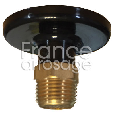 [81PALFI210C] PURGEUR AUTO 1/2M + FILTRE