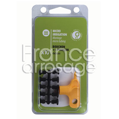 [980105] 10 BOUCHONS 4 x 6mm + POINCON